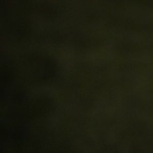 Meet your Posher, Shyla